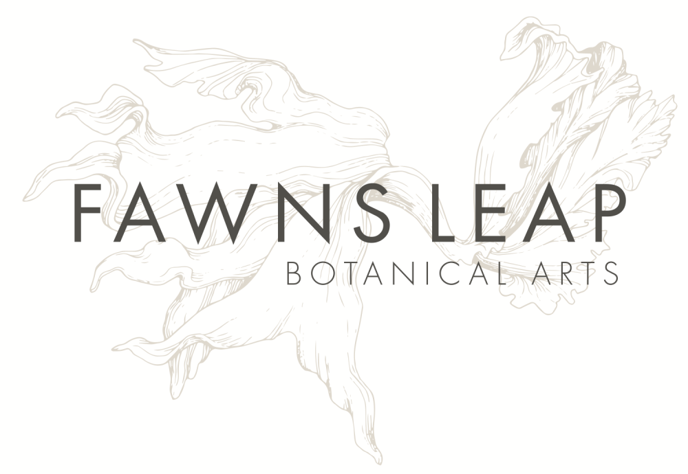Fawns Leap