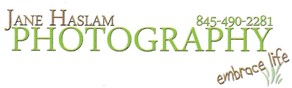 Sponsor logo