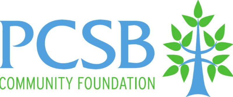 Sponsor logo