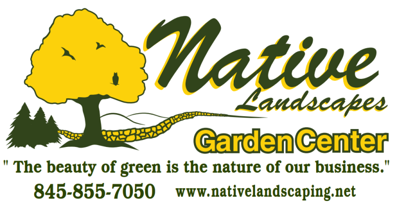 Sponsor logo