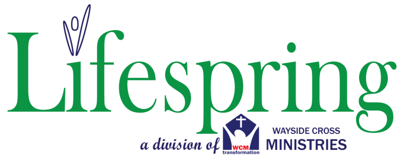 Lifespring's Annual Fundraiser logo