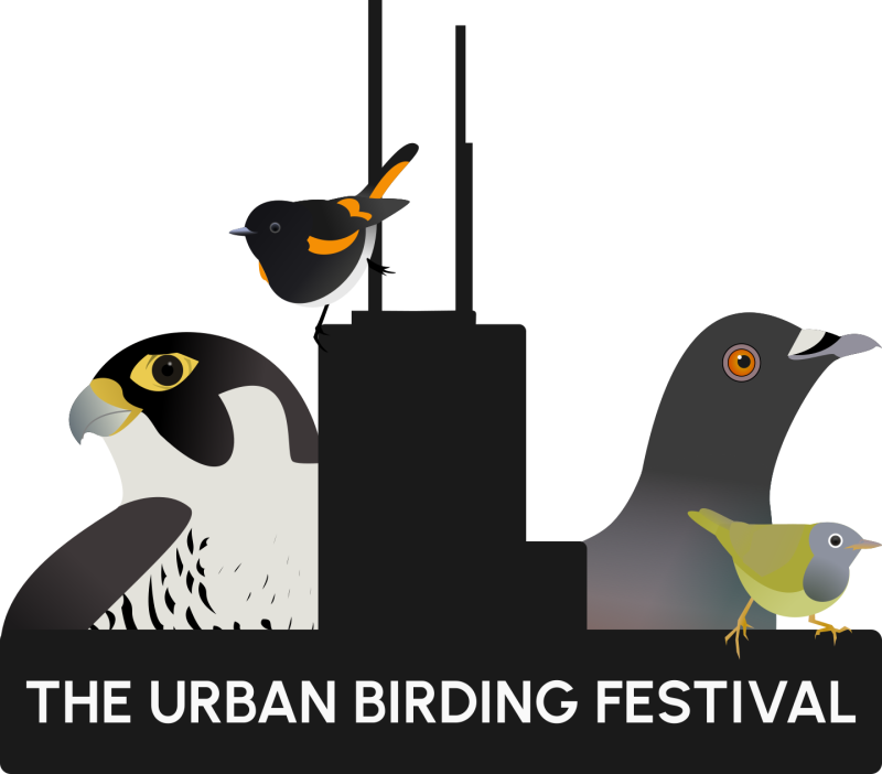 TUBF Silent Auction - 2025 logo