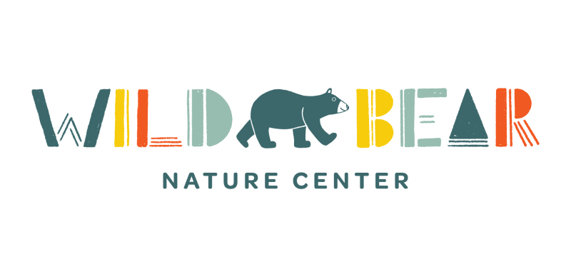 Wild Enchanted Evening logo