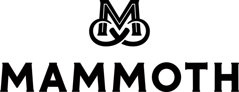 Sponsor logo