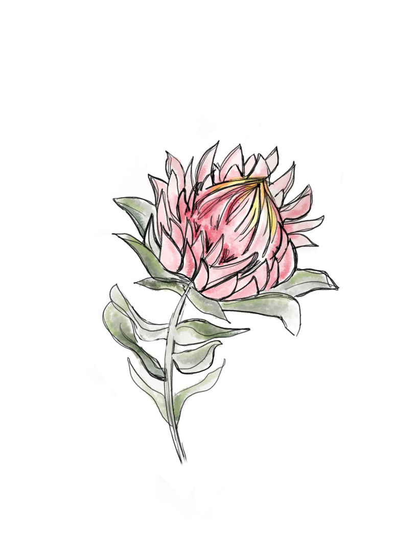 Content block image