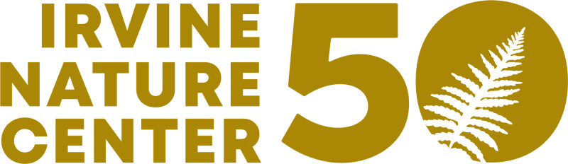 Pumpkins on the Green 2025 logo