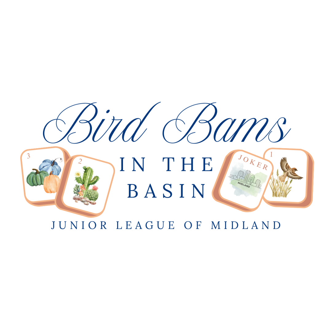 Bird Bams in the Basin 2025 background