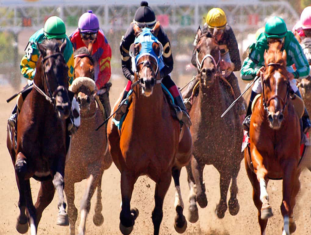 Saratoga Jockey Karaoke Silent Auction background