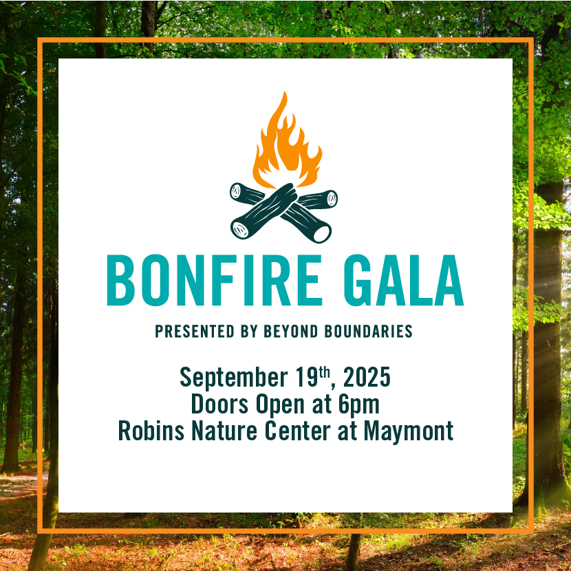 Bonfire Gala 2025 background