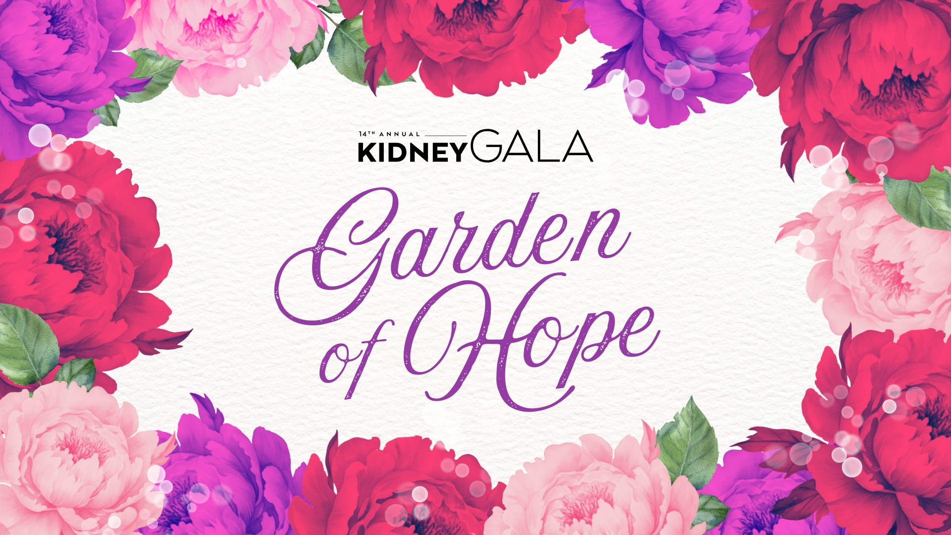 14th Annual Kidney Gala background