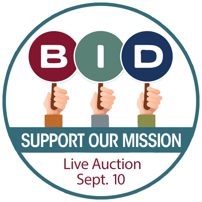 2025 Natural Stone Institute Auction logo