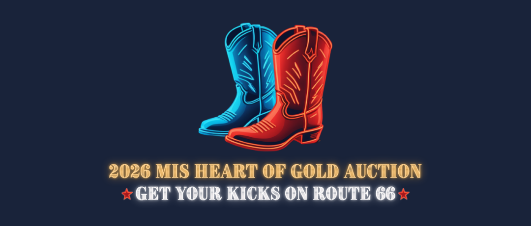 Heart of Gold Auction banner
