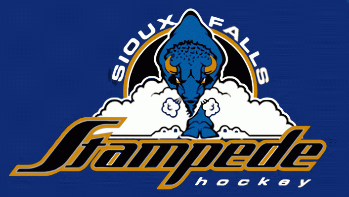 Sponsor logo