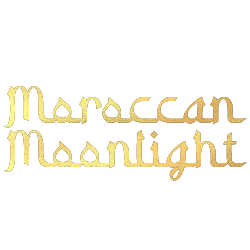 Night at the Museum 2025 logo
