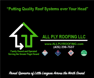 Sponsor logo