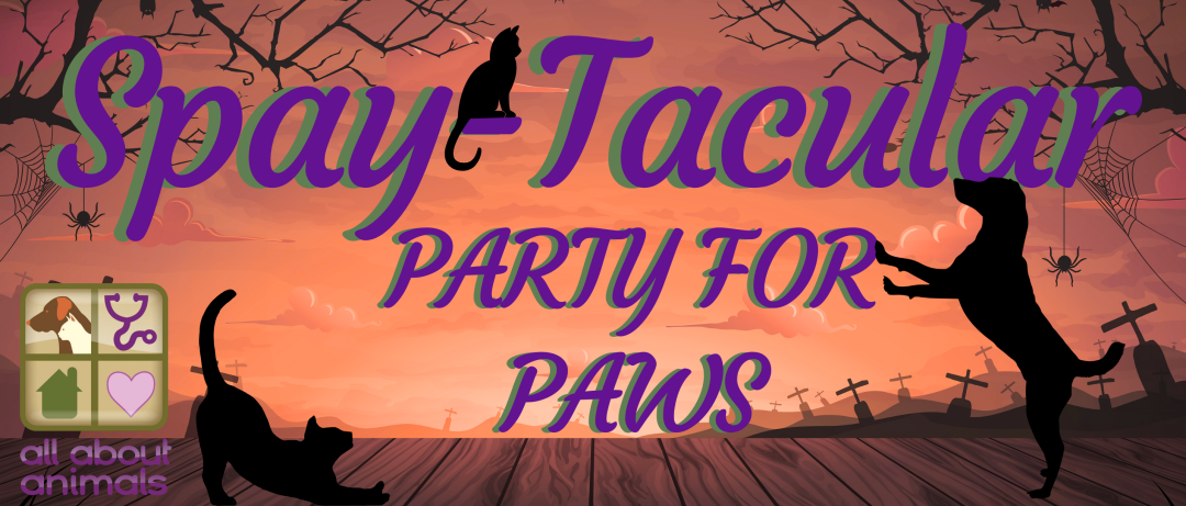 Spay-tacular, Party for Paws 2025 banner
