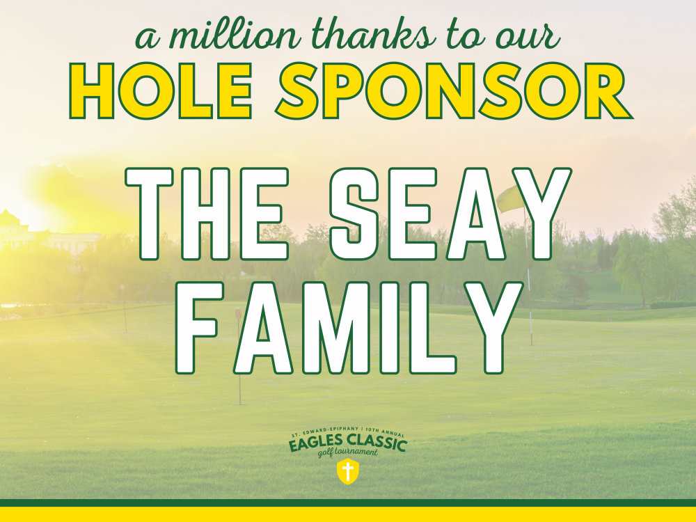 Sponsor logo