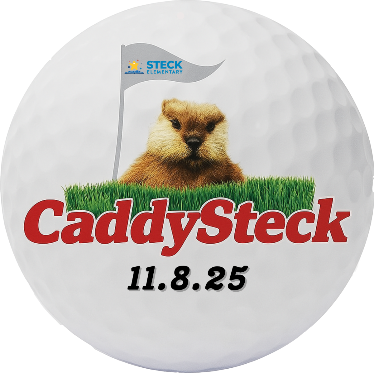 Logo: CaddySteck, 11.8.25