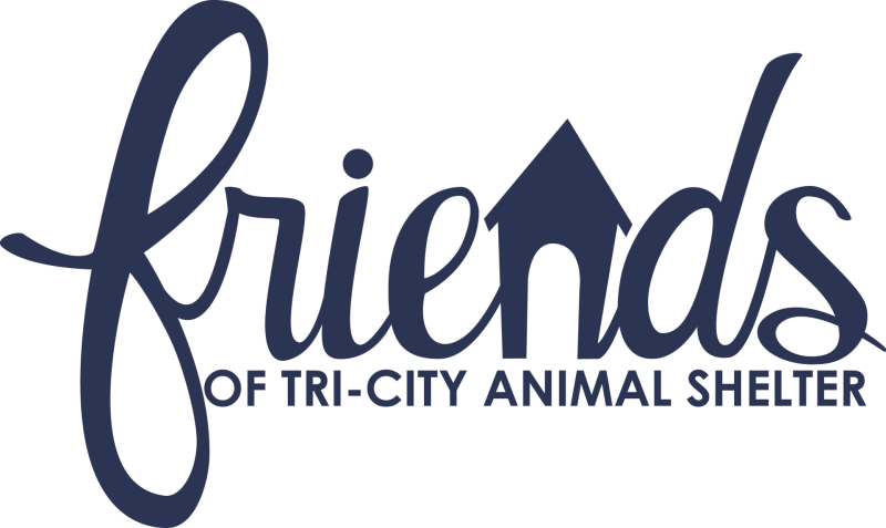 A Night at the Carnival logo