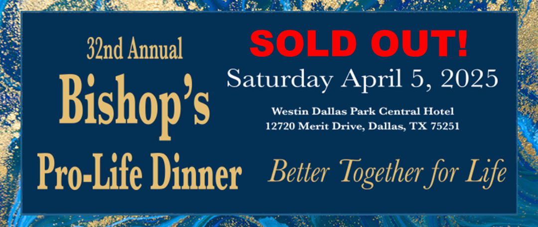 2026 Annual Bishop's Pro-Life Dinner banner