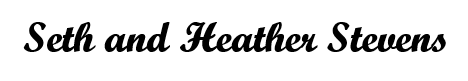 Sponsor logo