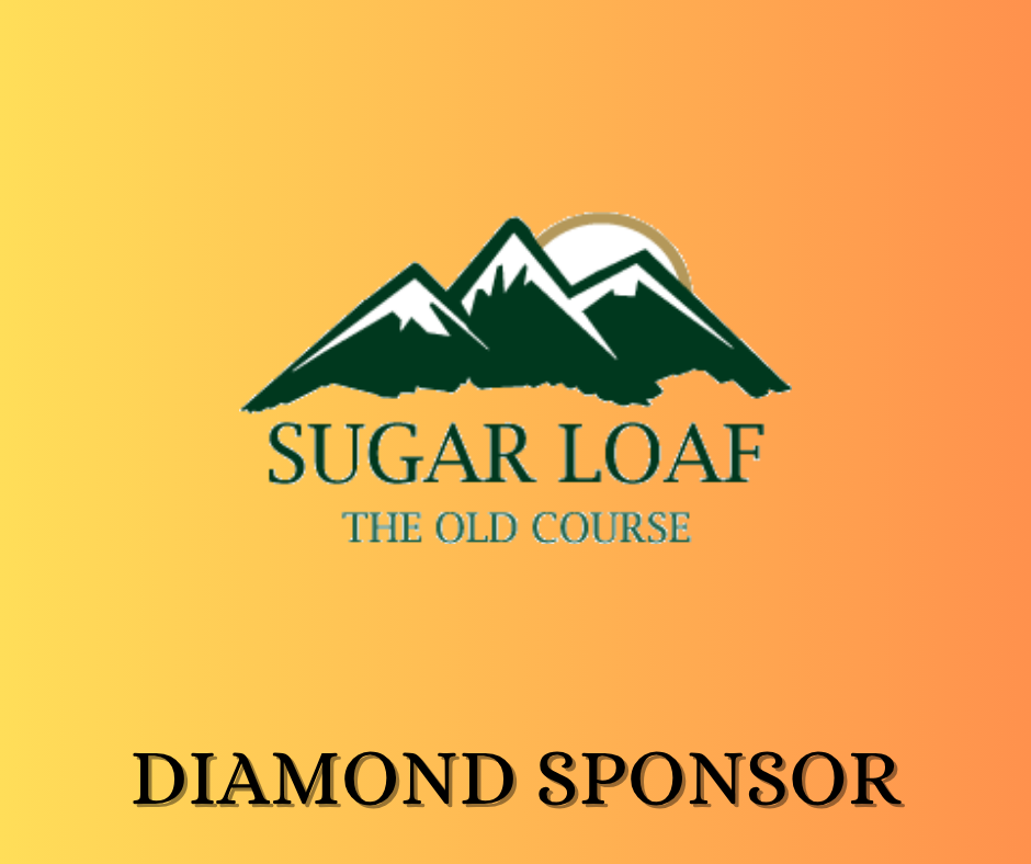 Sponsor logo