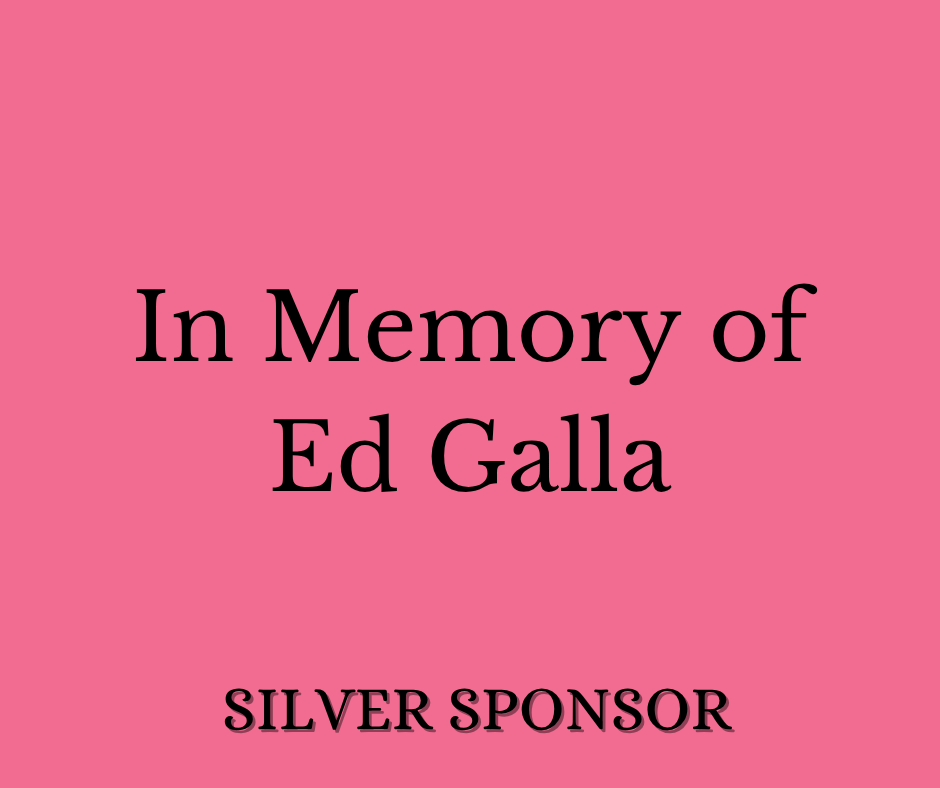 Sponsor logo