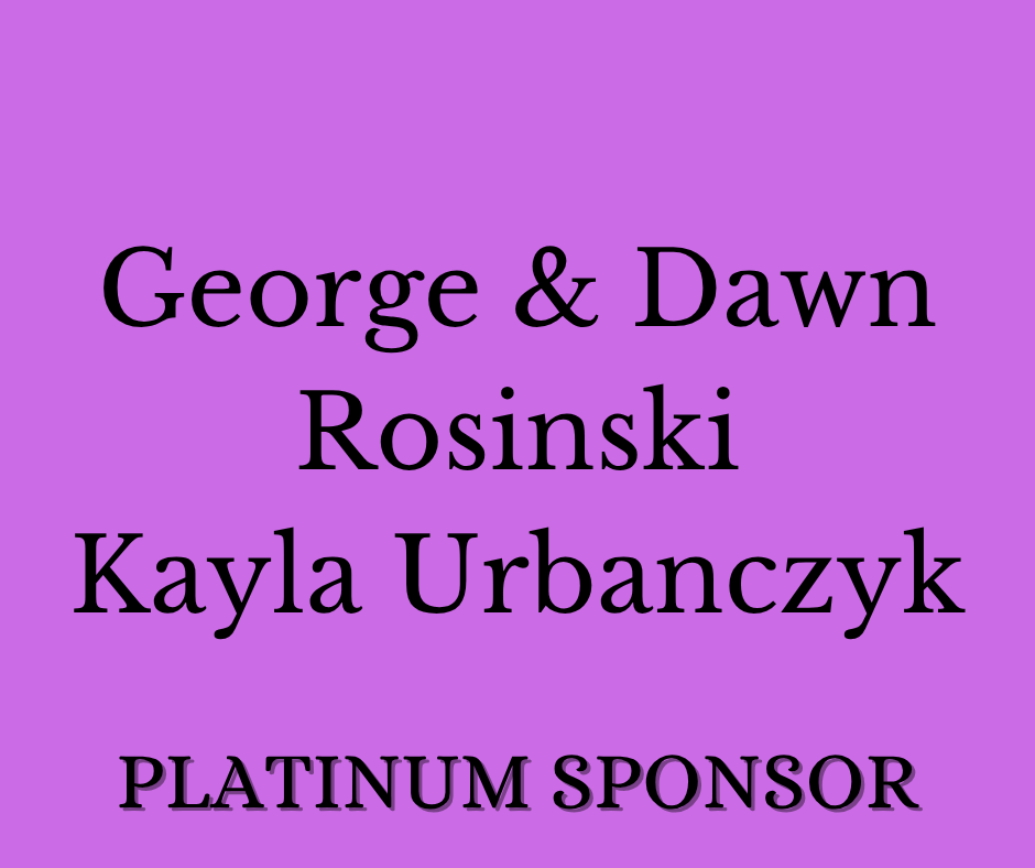 Sponsor logo