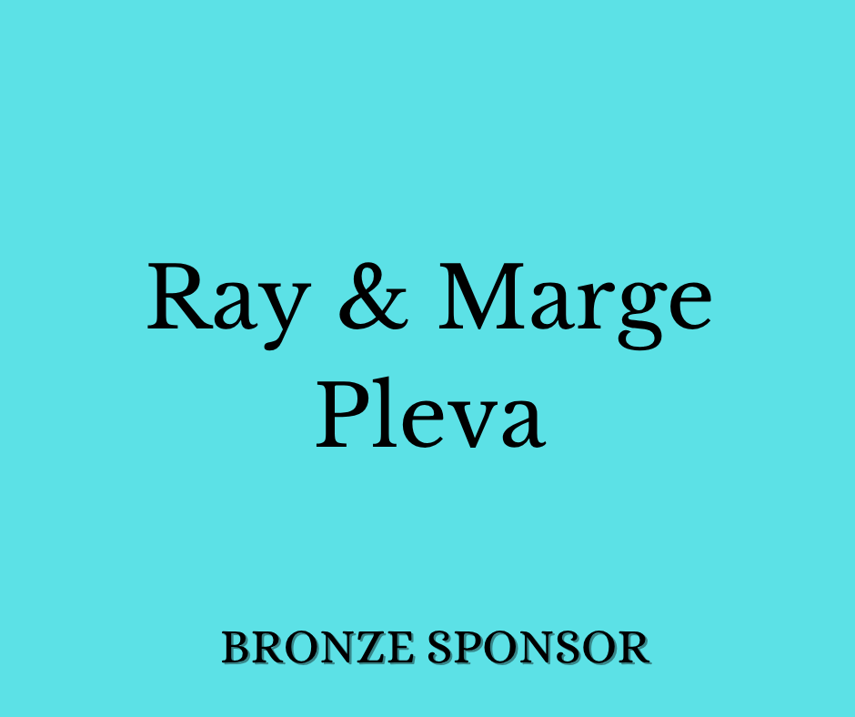Sponsor logo