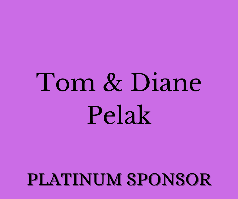 Sponsor logo