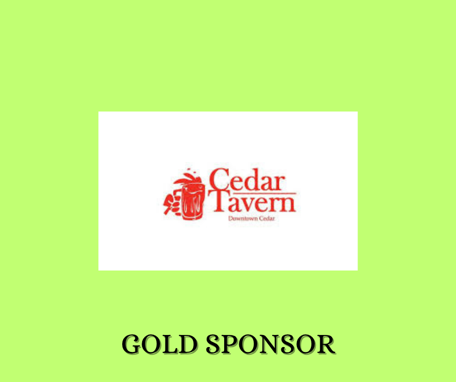 Sponsor logo