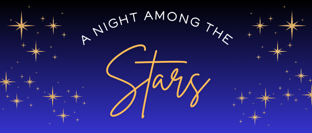 Midwest Young Artists Conservatory banner