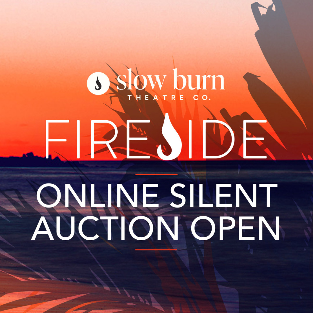 Fireside Auction 2025 background