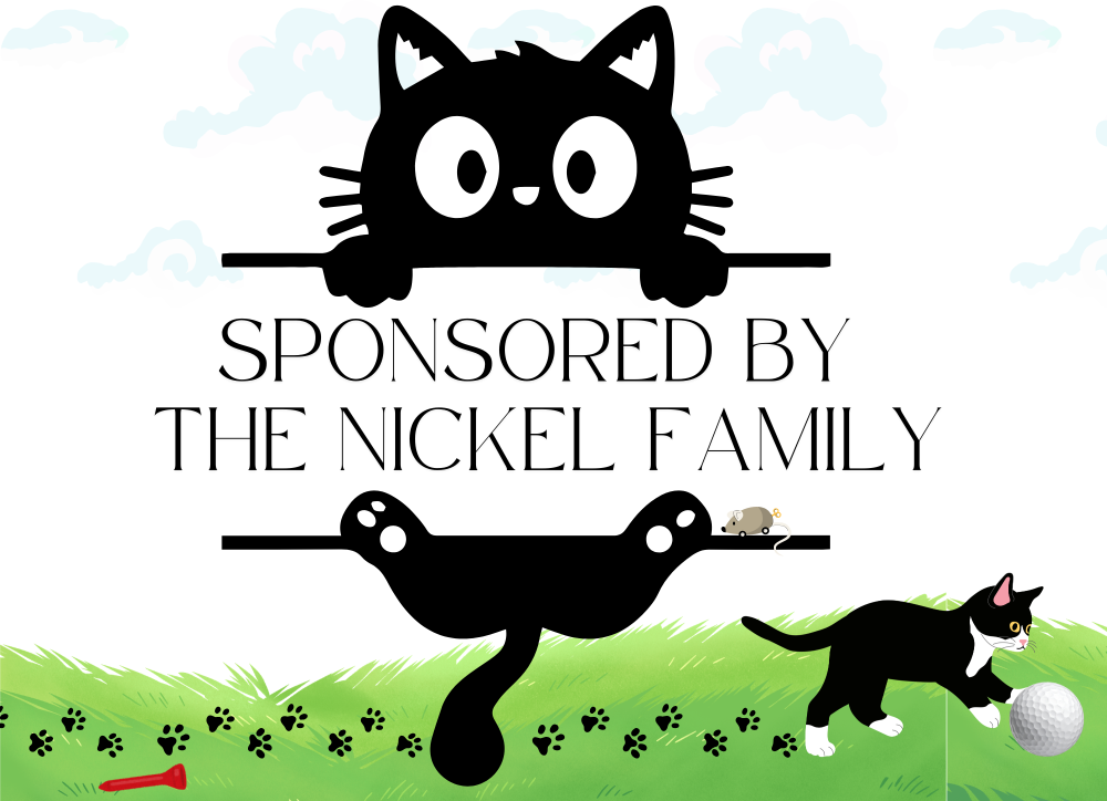Sponsor logo