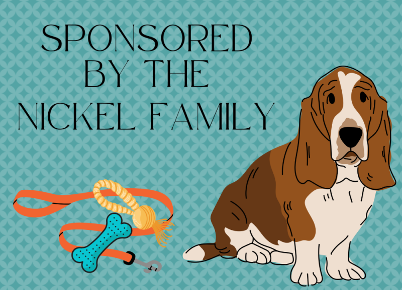 Sponsor logo