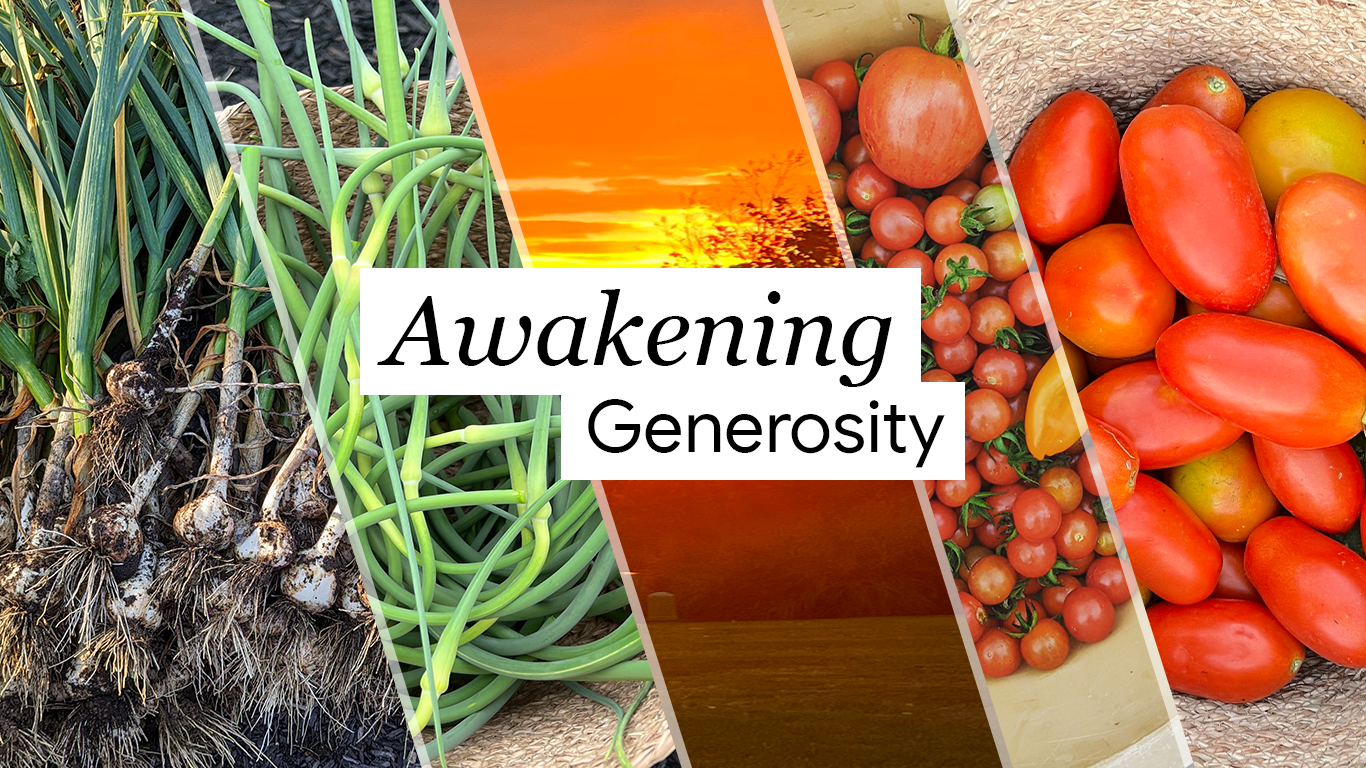 Awakening Generosity - The 3 Doors Silent Auction 2025 background