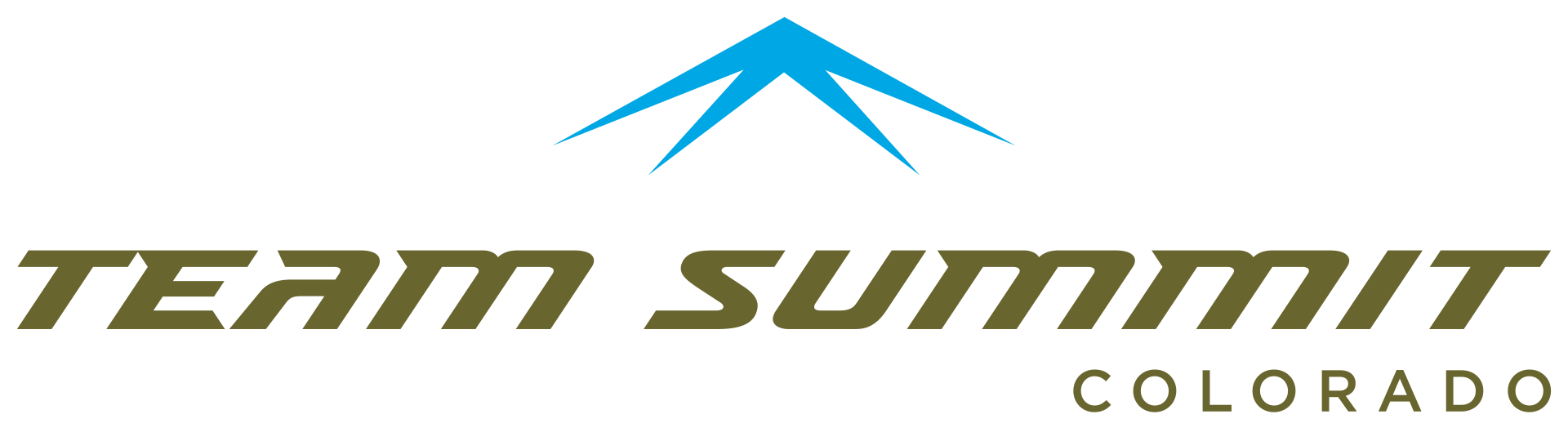 45th Annual Ski Ball logo