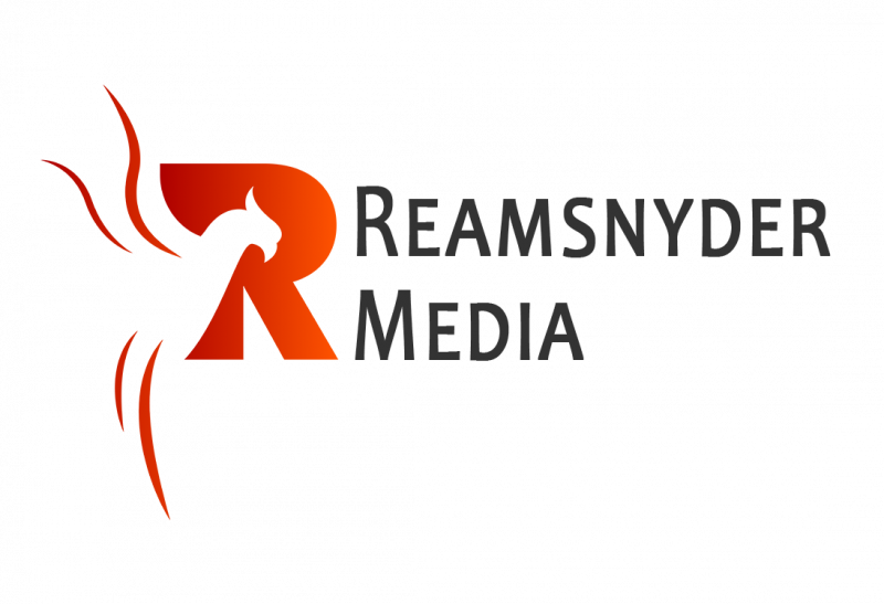 Sponsor logo