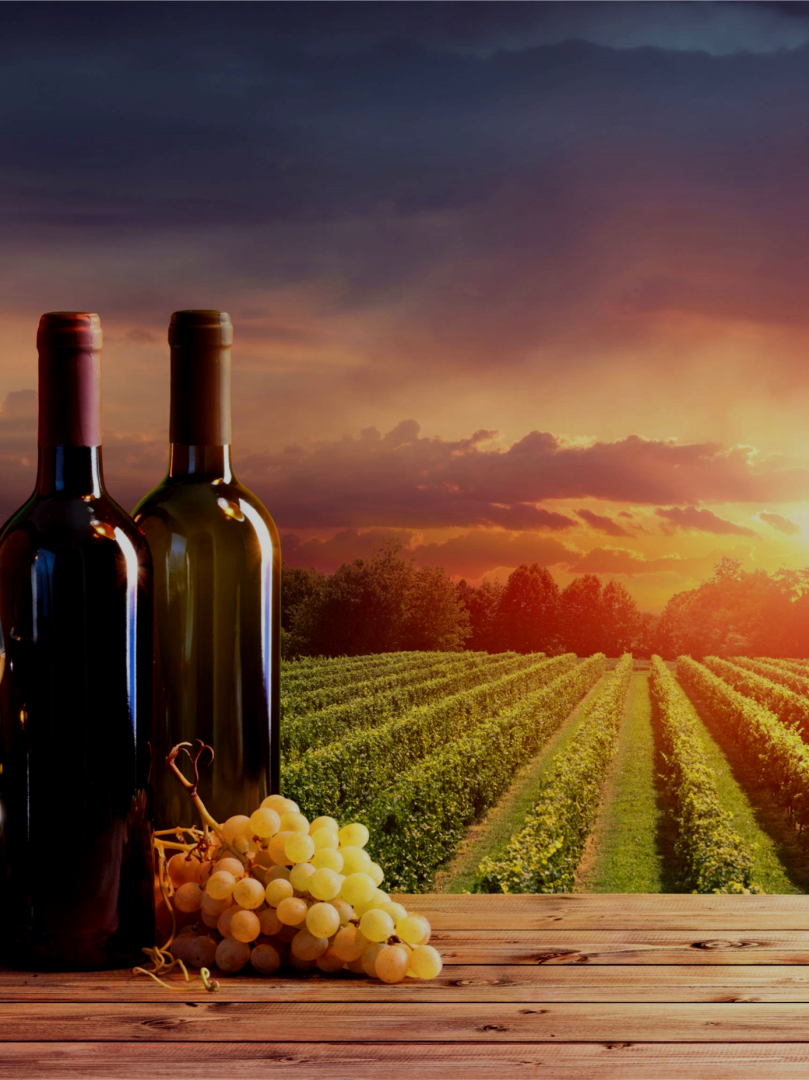 24th Annual Holiday Wine Fest background