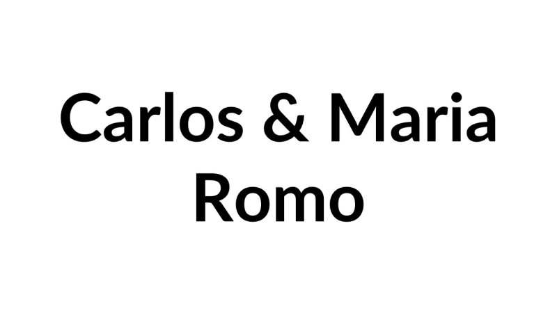 Sponsor logo