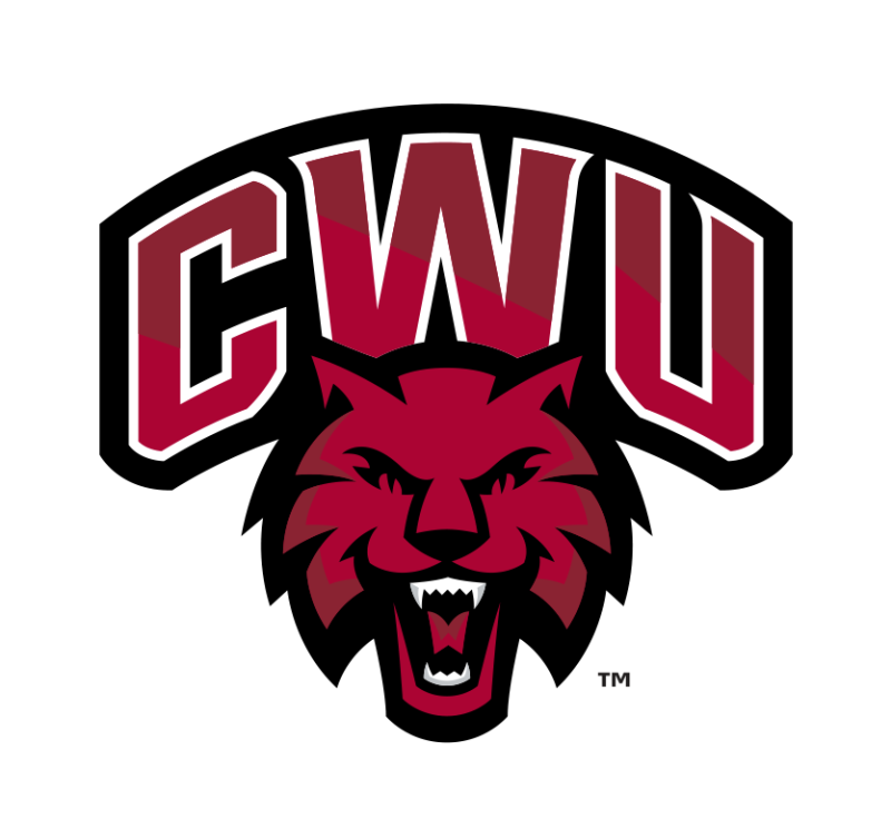 Wildcat Baseball First Pitch Auction logo