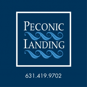 Sponsor logo