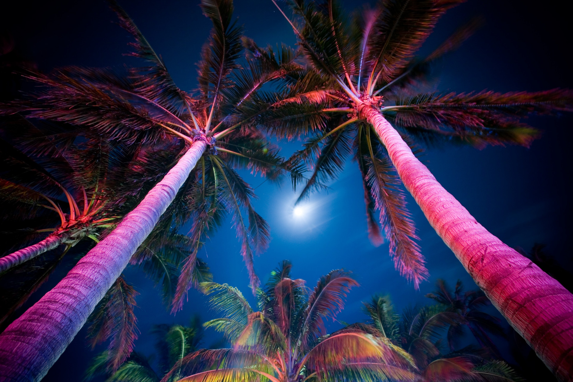 Best Summer Bash Ever background