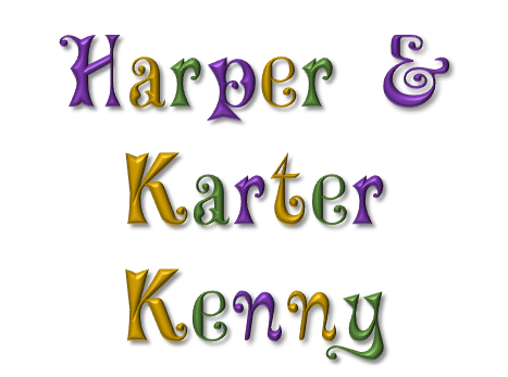 Sponsor logo