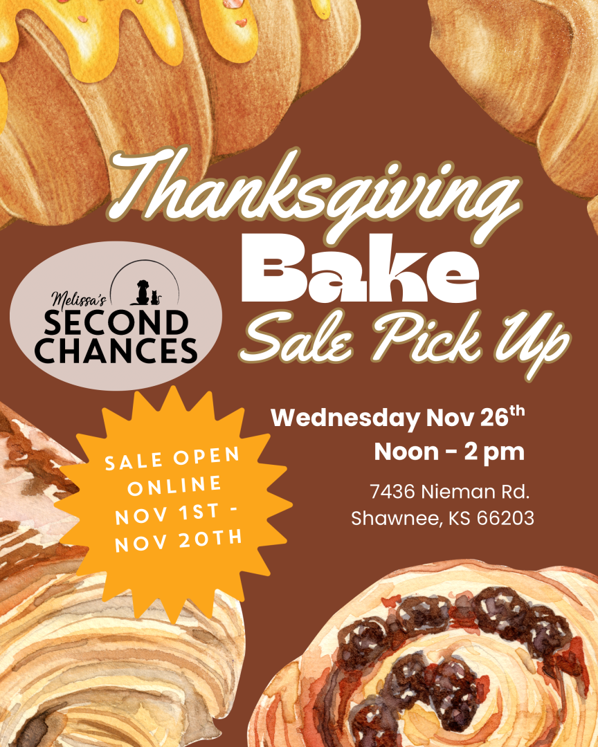 Thanksgiving Bake Sale background