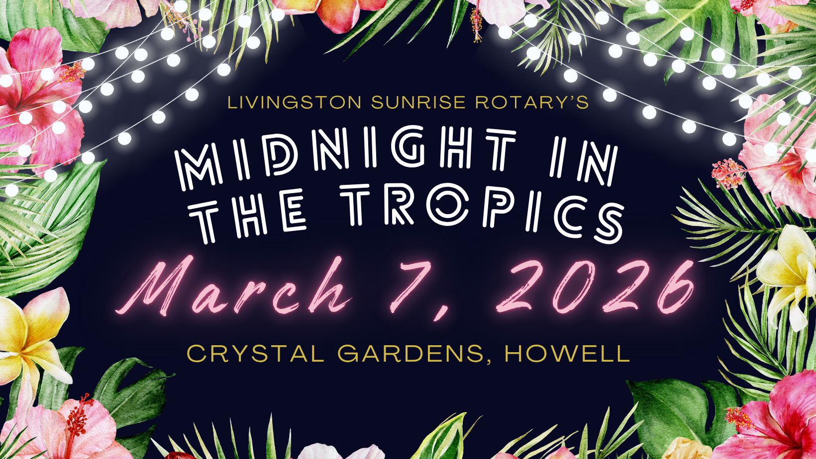 Midnight in the Tropics background