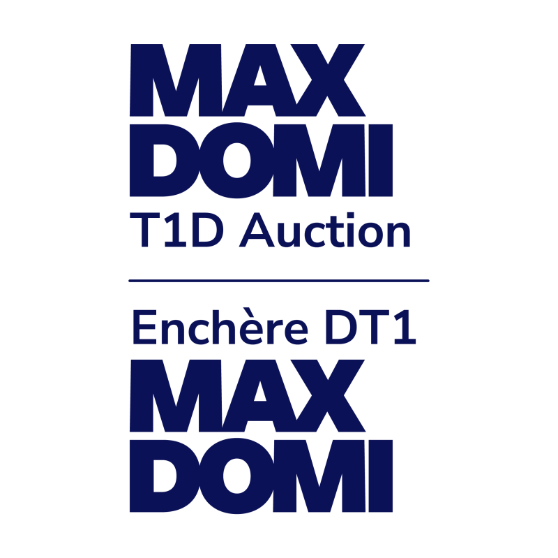 Max Domi T1D Auction logo