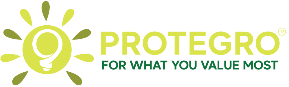 Protegro Website