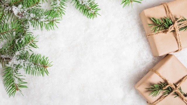 Christmas at the Clinic Gala 2025 background