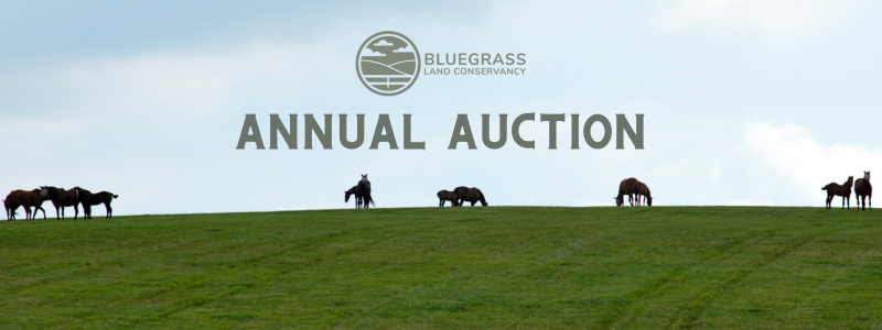 BLC Annual Auction banner